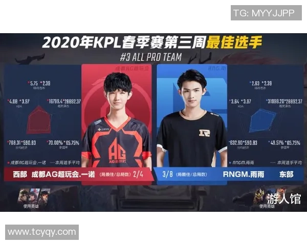 王者荣耀深度解析：WE战队团队协作的成功秘诀与战术运用