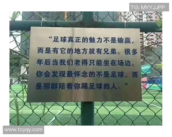 足球C弧形的魅力与技术解析如何提升你的踢球水平与战术意识
